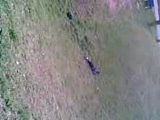 Petite roulade de Gémélis