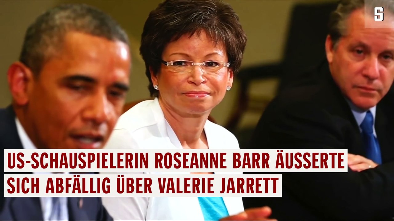 Rassistischer Tweet Sender ABC setzt Roseanne ab
