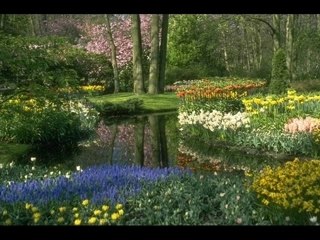 Tornados - Breeze and I