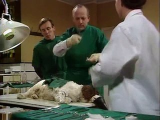 All Creatures Great And Small S02 E07
