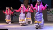 5. Uluslararası Deniz ve Kum Festivali halk danslarıyla izleyenleri hayran bıraktı