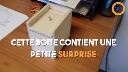Cette boite contient une petite surprise