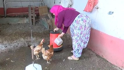 Hatice Teyze'den Teknolojiye Sitem: "Telefonda Çiftlik Oyunu Oynayacaklarına Evlerine Tavuk Horoz...