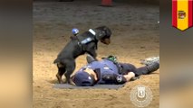 Police dog performs CPR on officer wins over audience's hearts