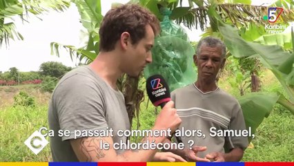 Chlordécone : le nouveau scandale d'État ? - C à Vous 25/06/2018