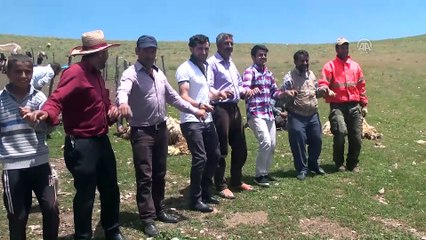 Muş'ta yaylacılar seçim sonuçlarını kutladı