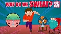 Why Do We Sweat? - The Dr. Binocs Show | Best Learning Videos For Kids | Peekaboo Kidz