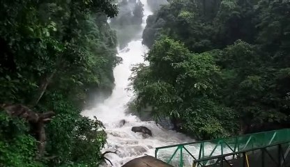 கோவை குற்றாலத்தில் சுற்றுலா பயணிகளுக்கு மீண்டும் தடை-வீடியோ