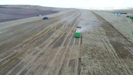 Tarlalar Havadan Görüntülendi... Mercimek'ten Umduğunu Bulamayan Çiftçilerin Umudu Buğday Oldu