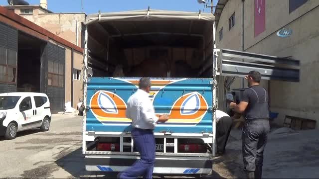 Erdoğan'ın Seçim Zaferini Büyükbaş Kurban Keserek Kutladı