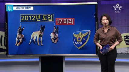 [뉴스터치]시신 찾은 ‘체취견’ 후각 능력 44배