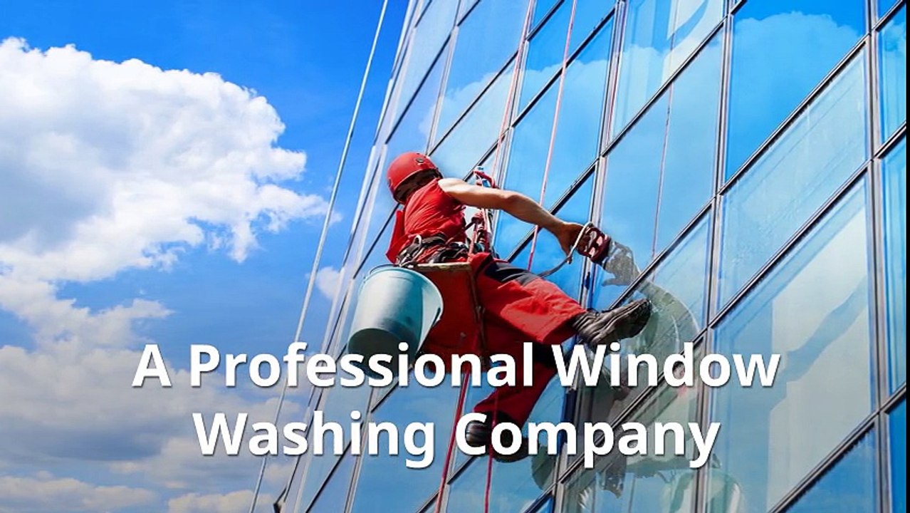 A Professional Window Washing Company