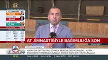 At jimnastiği ile sosyal medya bağımlılığı bitecek