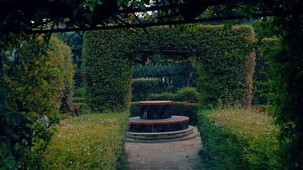 ARISCO LEE - SLOWDOWN FT HARRYSONG