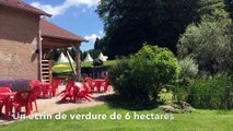 Vosges  :  les nouveautés de la Ferme Aventure