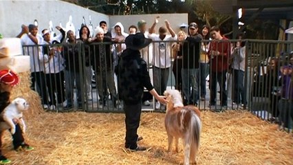 Rob & Big S02 Special Mini Footage