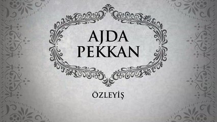 Ajda Pekkan - Özleyiş (45'lik)