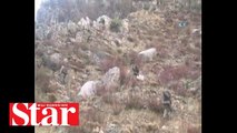Siirt�te 3 PKK�lı terörist etkisiz hale getirildi