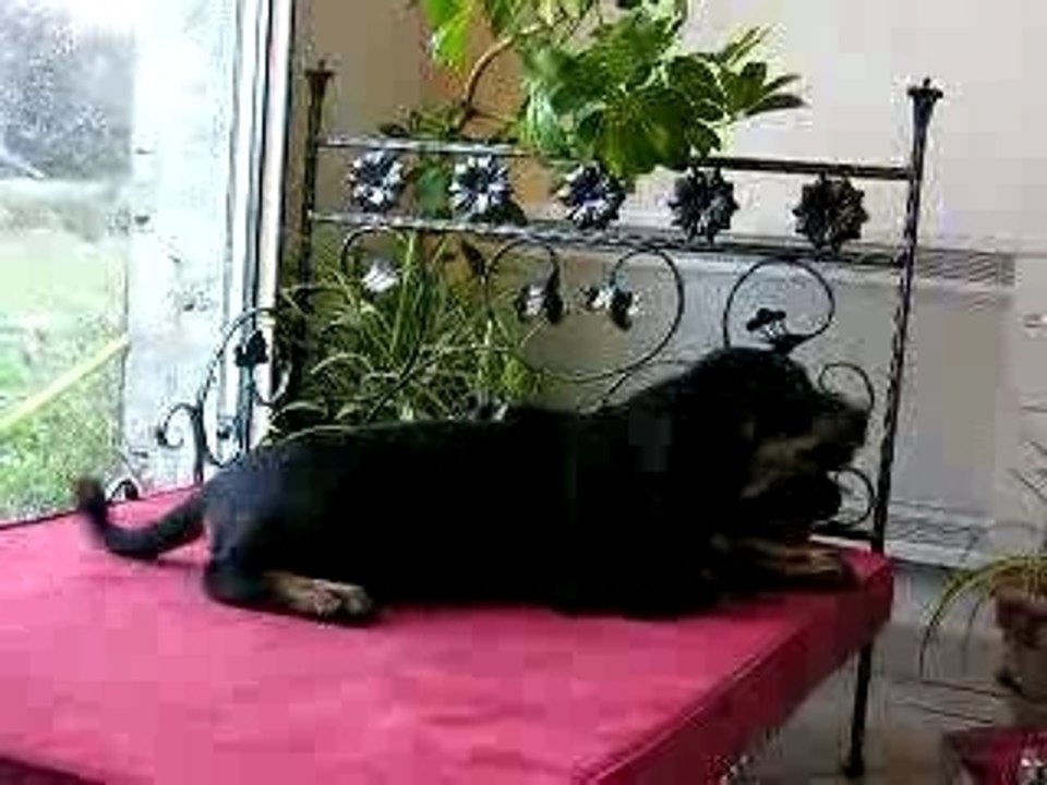 DSCN1071