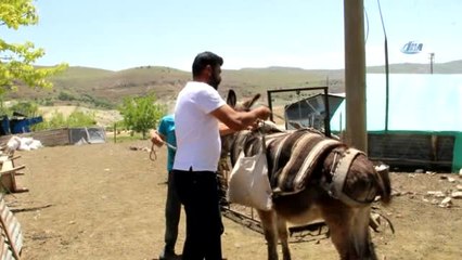 14 Yaşındaki Berdan'ın Lgs Başarısı Dikkat Çekti