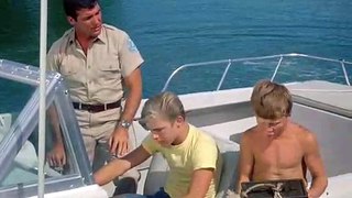 Flipper ( 1964 )  S01E05