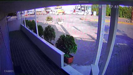 İnsanda biraz HAYVAN sevgisi olur…