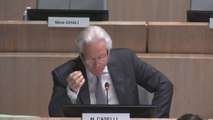 Eugène Caselli intervient sur l'avenir du Parc Chanot