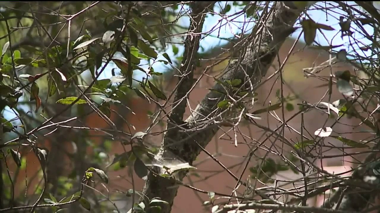 Six People Beaten, Tortured During Robbery Along Rural California Road: Police