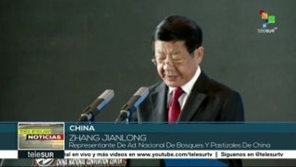 China: congreso internacional debate sobre utilidad de bambú y ratán