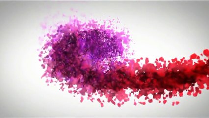 Ayesha Khan Gatting Married Soon with Major Uqbah