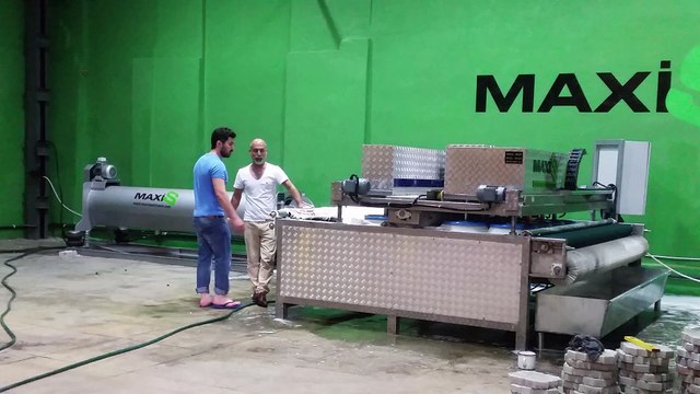 tam otomatik halı yıkama makinası,halı sıkma makinası maxis