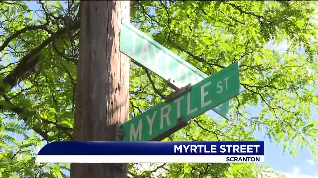 Teens Caught on Camera Throwing Rocks at Houses video Dailymotion