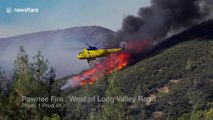 Firefighters continue to battle growing Pawnee Fire in Northern California