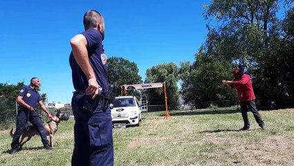 L'unité cynophile du commissariat de Chalon en démonstration pour ses 35 ans