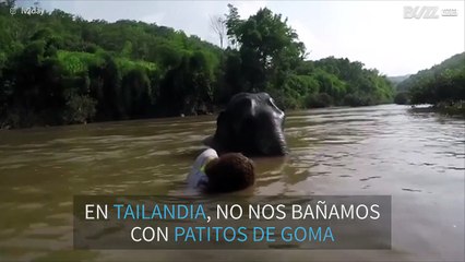 Experiencia única: bañándose con un elefante