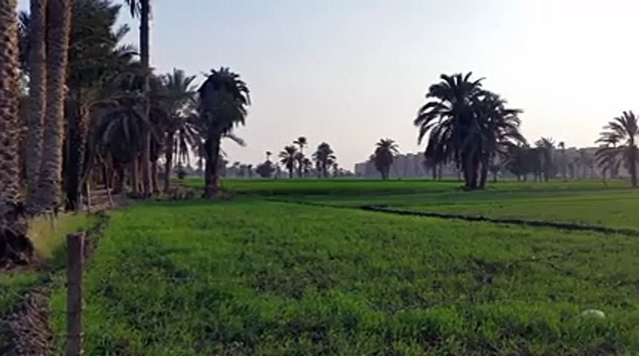 رجل يتصدق على امرأه زانيه وسارق انظر ماذا حدث له !! سبحان الله