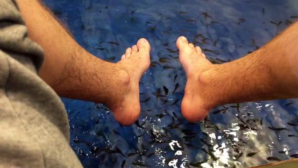 Man tries fish spa for the first time, cant handle the tickle