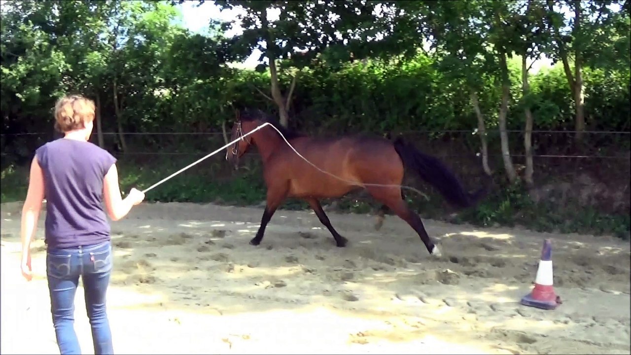 D Day des Edènes TF essai à l'obstacle