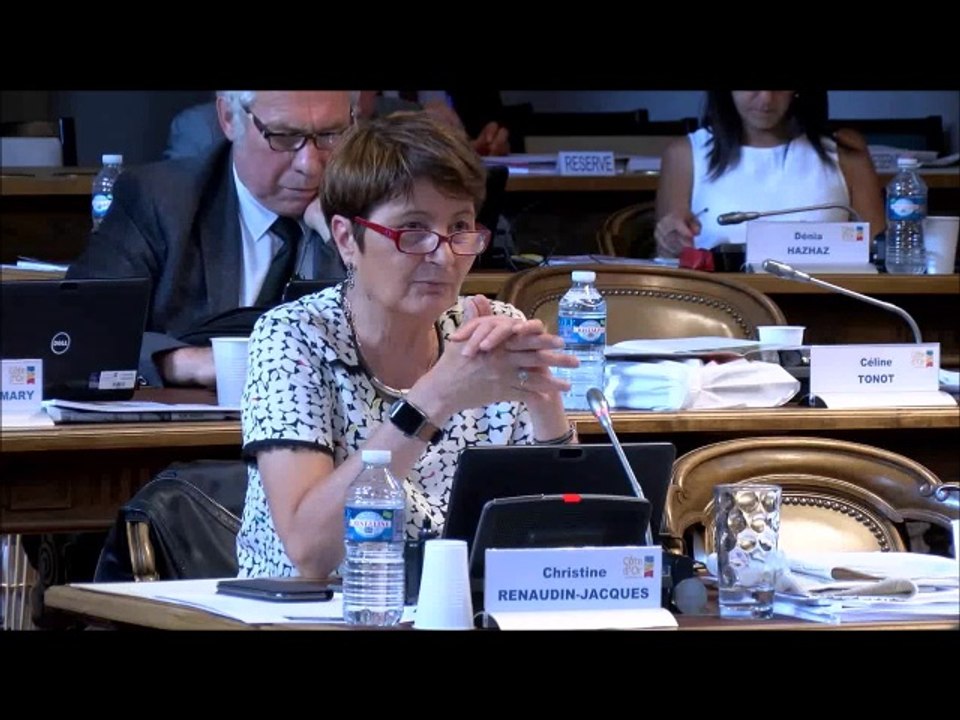 Christine RENAUDIN-JACQUES. Voeu pour expérimenter le revenu de base en Côte-d'Or