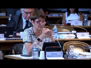 Christine RENAUDIN-JACQUES. Voeu pour expérimenter le revenu de base en Côte-d'Or