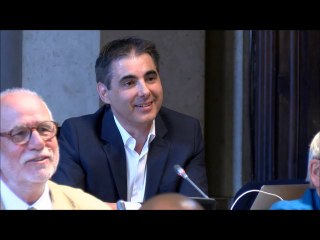 Christophe LUCAND. MuseoParc Alésia - rapport d'activité 2017.