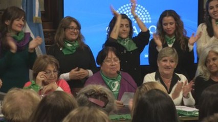 Senadoras piden reducir las comisiones que votan la ley de aborto en Argentina