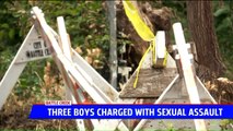 Three Boys Charged with Sexually Assaulting Two Younger Boys in Michigan