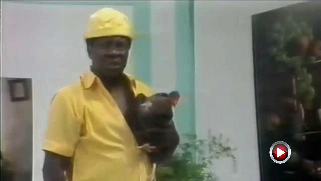 Os Trapalhões 1973 Ladrão de galinhas mussum e zacarias