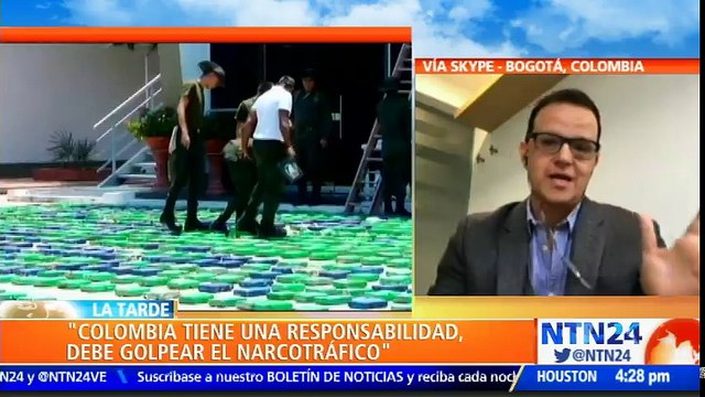 Investigador habla sobre el aumento de cultivos ilícitos en Colombia