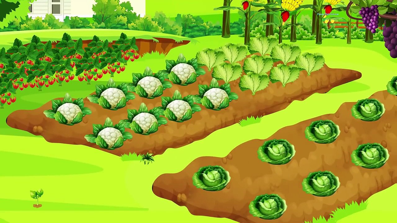 Mickey Mouse et Minnie Mouse apprennent des couleurs avec des fruits de couleurs! Mickey Mouse Éducatif Vid