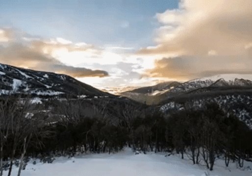 Thick Fog Blankets Victorian Alpine Region