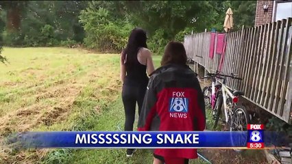 7-Foot-Long Boa Constrictor on the Loose After Escaping Enclosure in North Carolina
