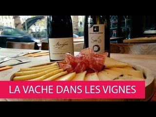 LA VACHE DANS LES VIGNES - FRANCE, PARIS