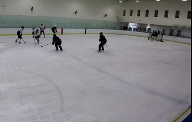 too-stiff-so-one-hand-on-stick-so-lose-puck